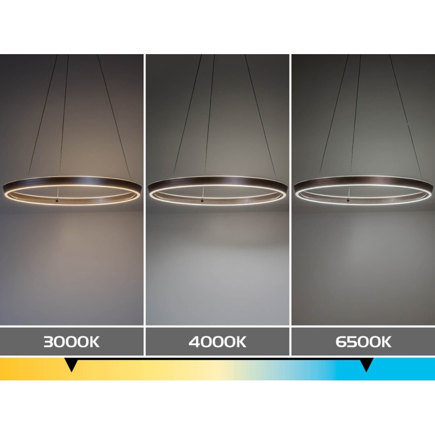 Rabalux - LED zatemnljiv lestenec na kablu LED/36W/230V 3000-6500K + daljinski upravljalnik