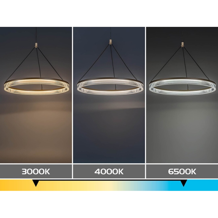 Rabalux - LED zatemljiv lestenec na kablu LED/24W/230V 3000-6500K + daljinski upravljalnik
