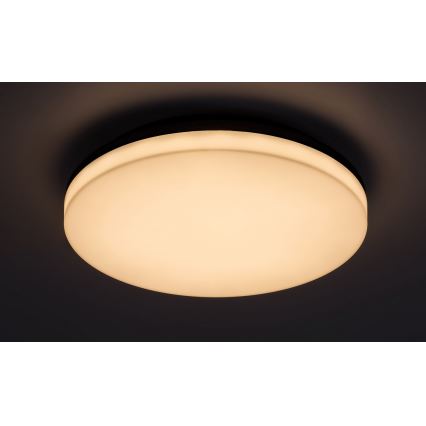 Rabalux - LED Kopalniška stropna svetilka LED/24W/230V IP54