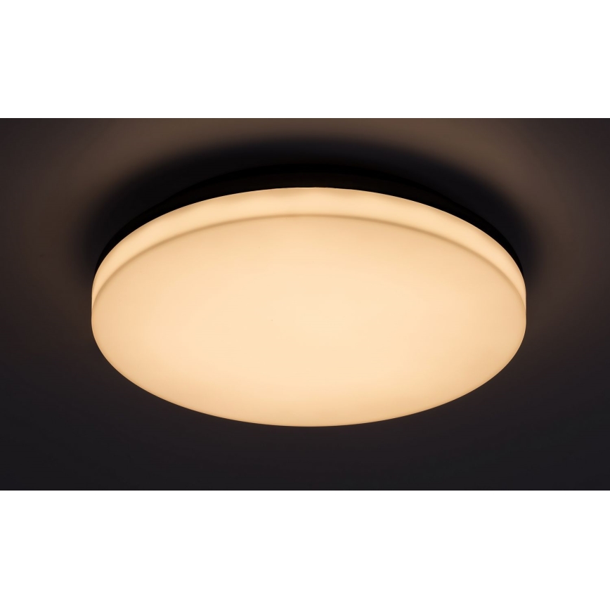 Rabalux - LED Kopalniška stropna svetilka LED/24W/230V IP54