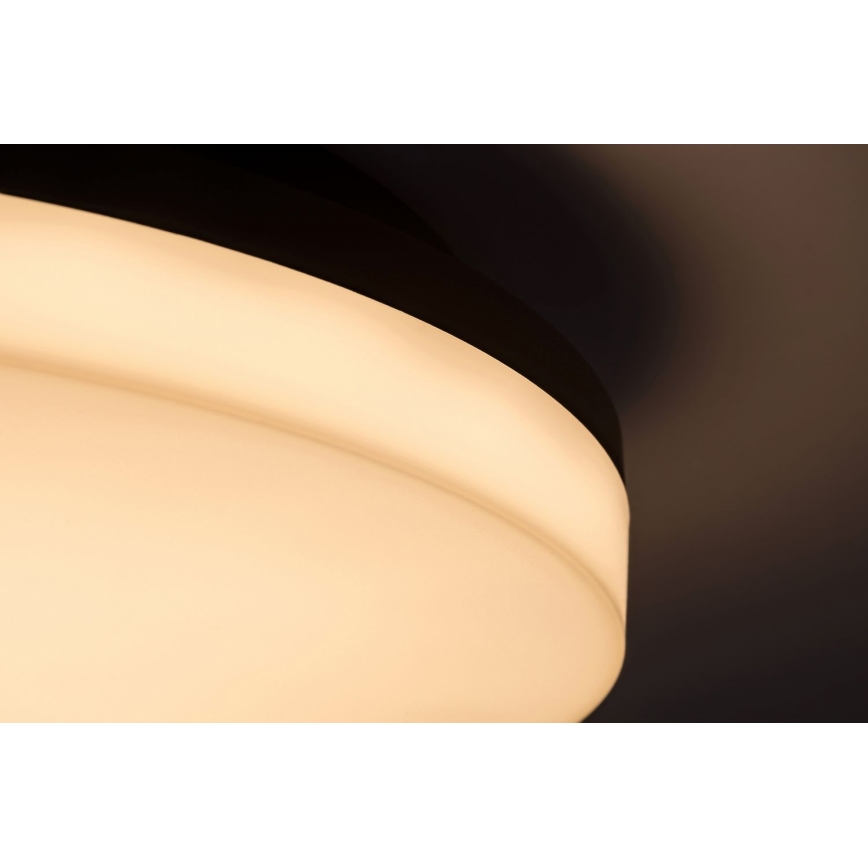 Rabalux - LED Kopalniška stropna svetilka LED/24W/230V IP54