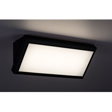 Rabalux - LED Zunanja stenska luč LED/12W/230V IP54