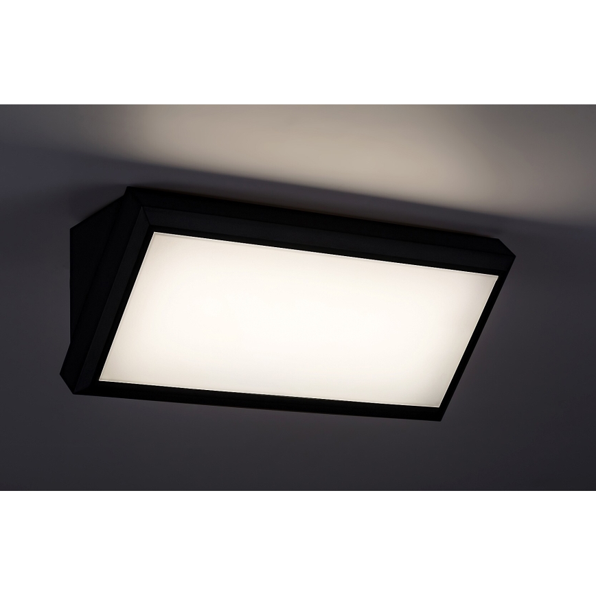 Rabalux - LED Zunanja stenska luč LED/12W/230V IP54
