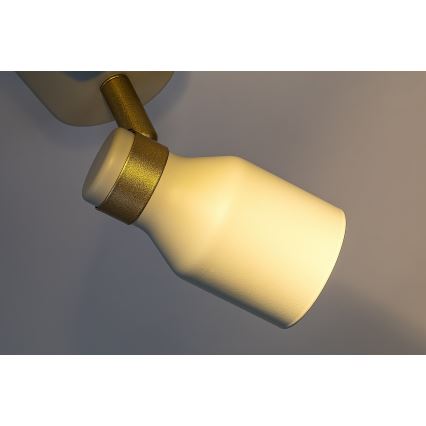 Rabalux - Točkovno svetilo 2xGU10/15W/230V