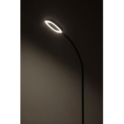 Rabalux - LED Zatemnitvena talna svetilka LED/11W/230V 3000K