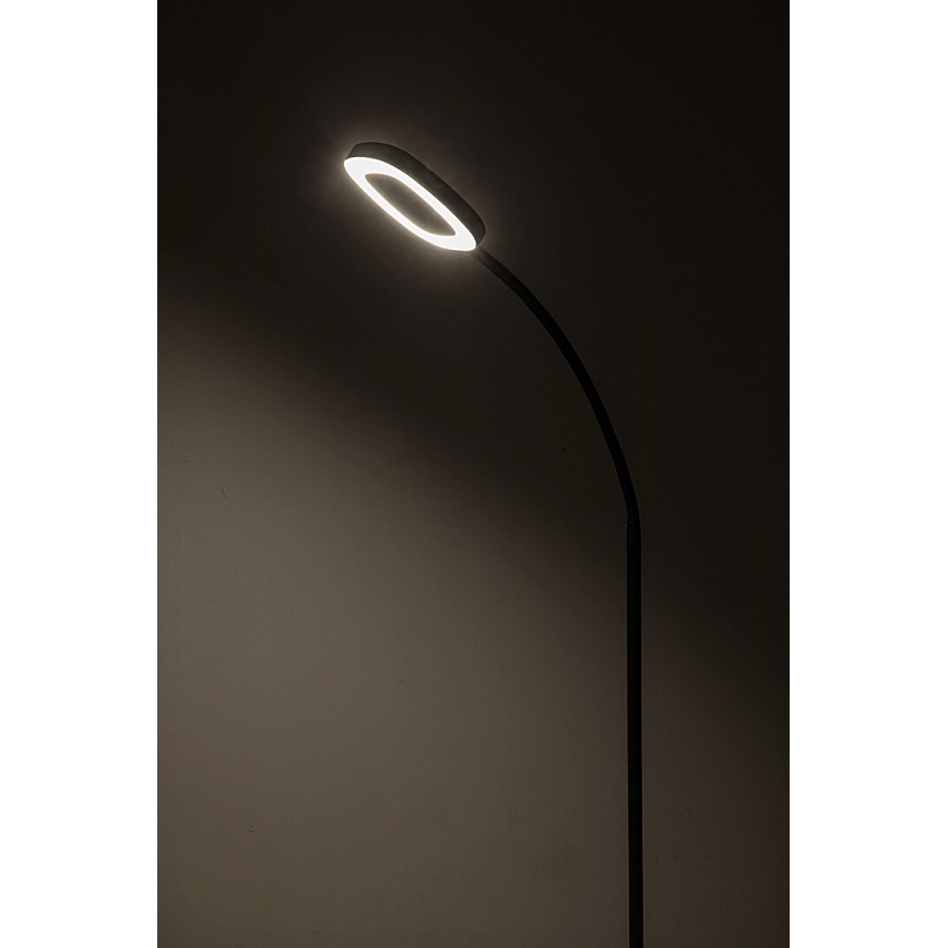 Rabalux - LED Zatemnitvena talna svetilka LED/11W/230V 3000K