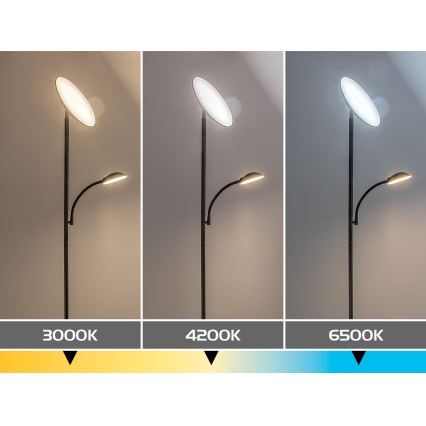 Rabalux - LED zatemnitvena stoječa svetilka LED/23W/230V 3000/4200/6500 črna