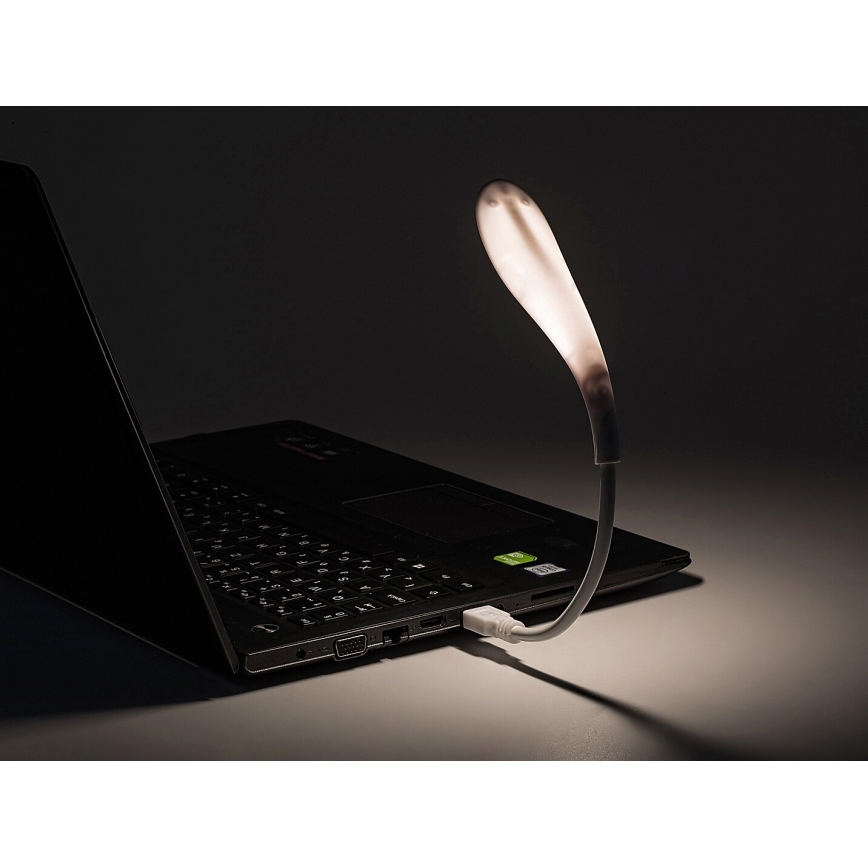 Rabalux 74238 - LED Fleksibilna USB svetilka TAFI LED/2W/5V