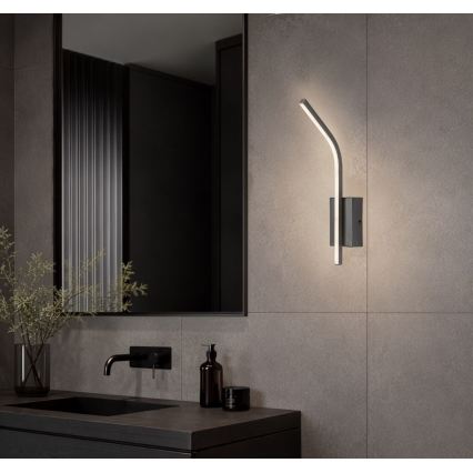 Rabalux - LED Kopalniško stensko svetilo LED/10W/230V 4000K IP44 antracit