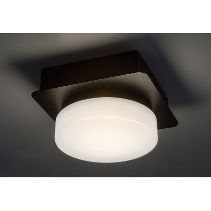 Rabalux - LED Kopalniška stropna svetilka LED/5W/230V IP44 4000K črna