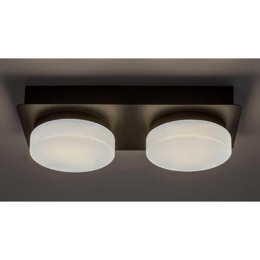 Rabalux - LED Kopalniška stropna svetilka 2xLED/5,5W/230V IP44 črna
