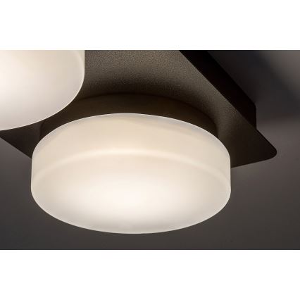 Rabalux - LED Kopalniška stropna svetilka 2xLED/5,5W/230V IP44 črna