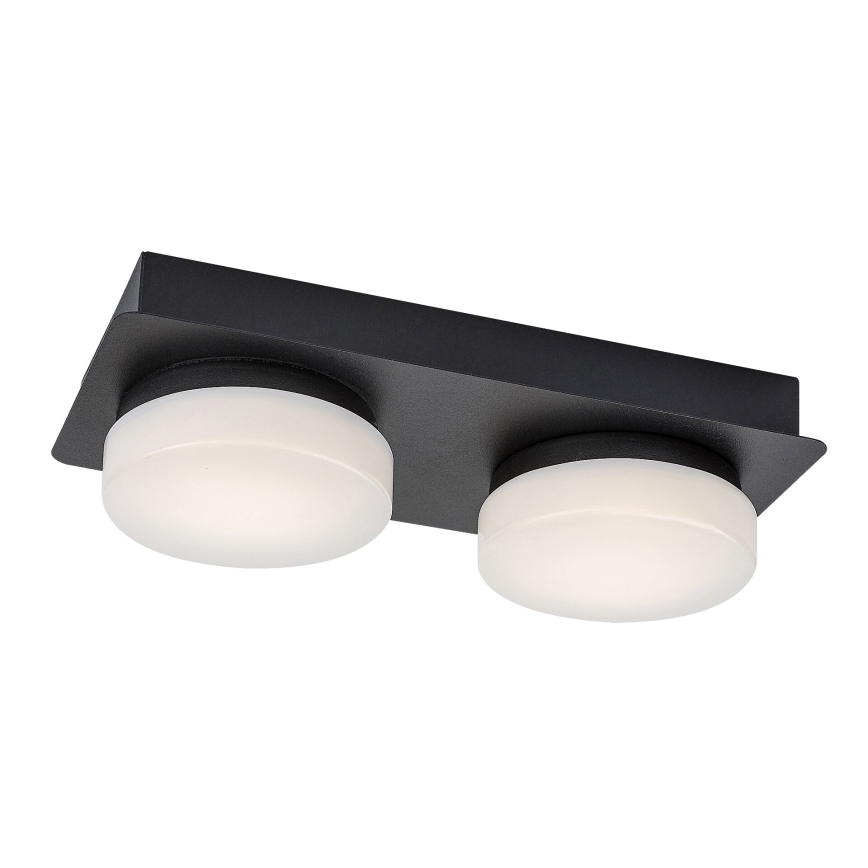 Rabalux - LED Kopalniška stropna svetilka 2xLED/5,5W/230V IP44 črna