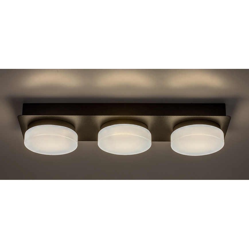 Rabalux - LED Kopalniška stropna svetilka 3xLED/6W/230V IP44 črna