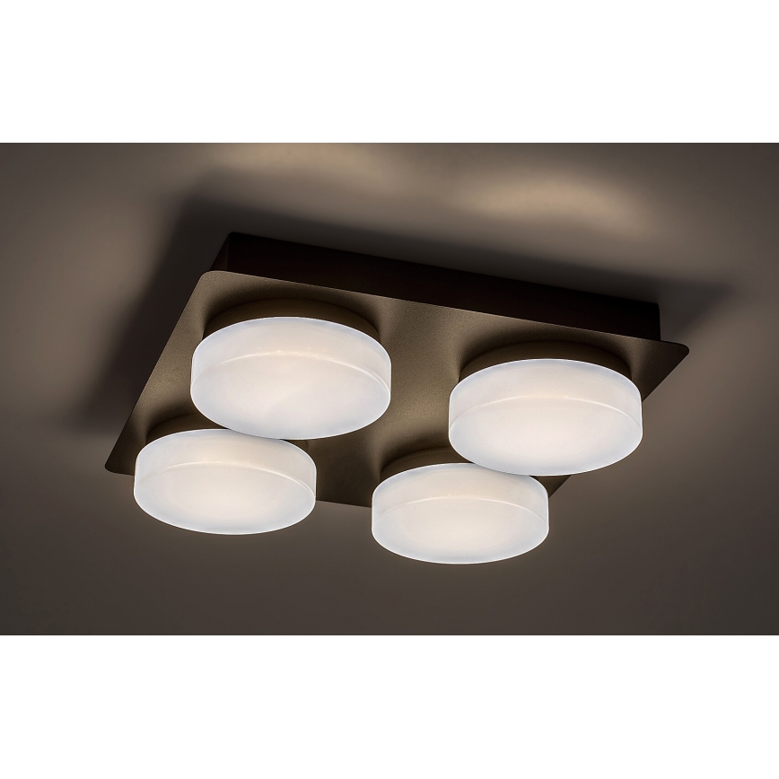 Rabalux - LED Kopalniška stropna svetilka 4xLED/5,2W/230V IP44 črna