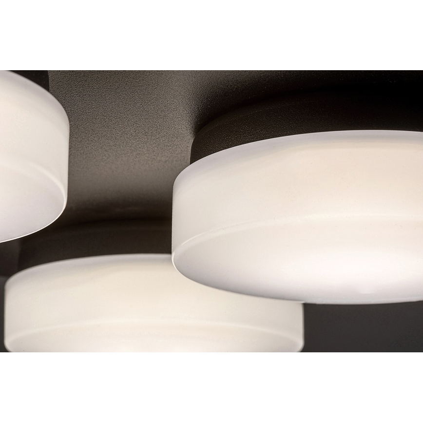 Rabalux - LED Kopalniška stropna svetilka 4xLED/5,2W/230V IP44 črna