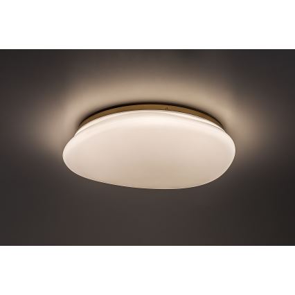 Rabalux - LED stropna svetilka za kopalnico LED/24W/230V IP44 Ø 41 cm