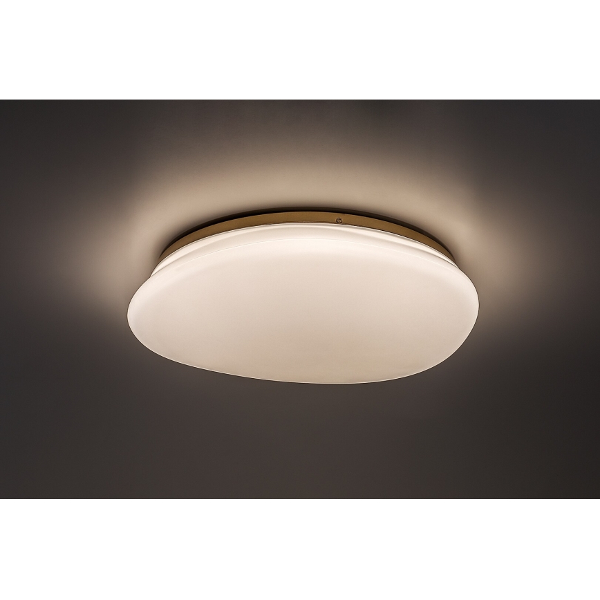 Rabalux - LED stropna svetilka za kopalnico LED/24W/230V IP44 Ø 41 cm
