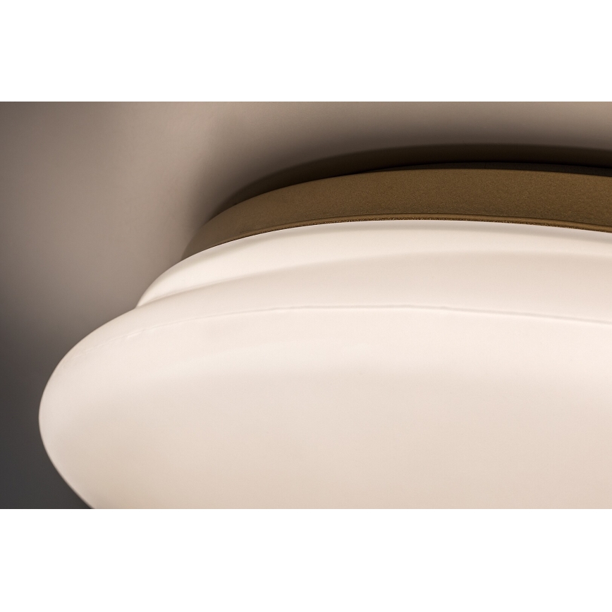 Rabalux - LED stropna svetilka za kopalnico LED/24W/230V IP44 Ø 41 cm