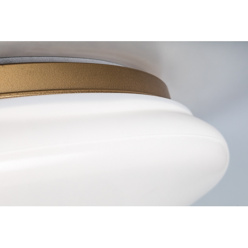 Rabalux - LED stropna svetilka za kopalnico LED/24W/230V IP44 Ø 41 cm