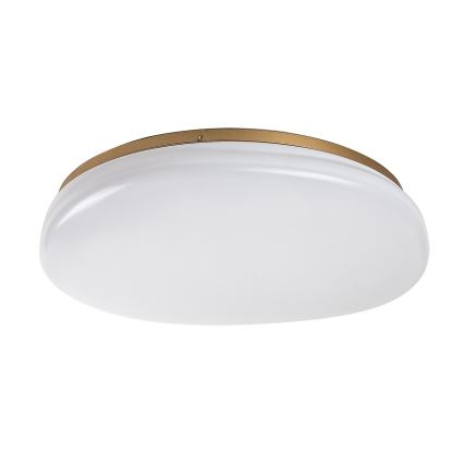 Rabalux - LED stropna svetilka za kopalnico LED/24W/230V IP44 Ø 41 cm
