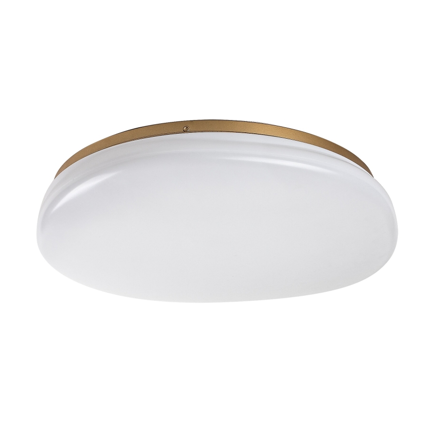 Rabalux - LED stropna svetilka za kopalnico LED/24W/230V IP44 Ø 41 cm