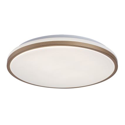 Rabalux - LED stropna svetilka za kopalnico LED/18W/230V IP44, premer 34 cm