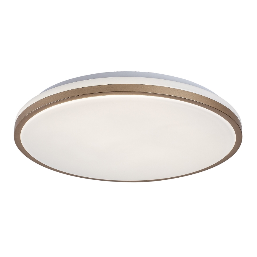 Rabalux - LED stropna svetilka za kopalnico LED/18W/230V IP44, premer 34 cm