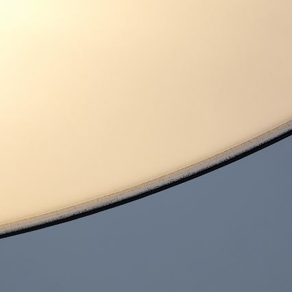 Rabalux - Zunanja stropna svetilka 2xE27/9W/230V premer 29 cm IP43 črna