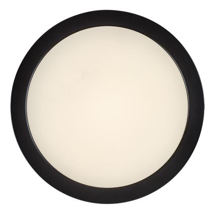 Rabalux - LED kopalniška stropna svetilka LED/24 W/230 V, Ø 22 cm, IP44, črna