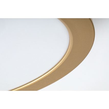 Rabalux - LED kopalniška stropna svetilka LED/24W/230V premer 22 cm IP44 zlata