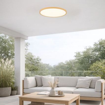 Rabalux - LED stropna svetilka za kopalnico LED/24W/230V 3000/4000/6000K premer 40 cm IP44 bež