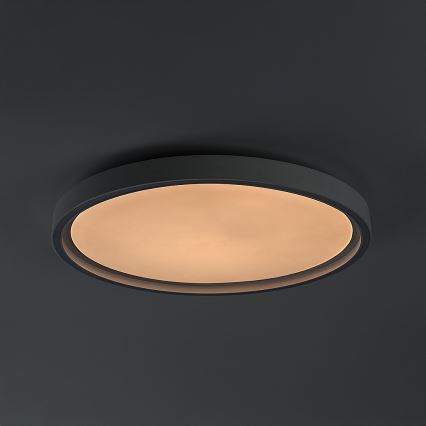 Rabalux - Zatemnjiva stropna LED svetilka LED/31W/230V IP40 3000-6500K premer 41,5 cm + daljinski upravljalnik