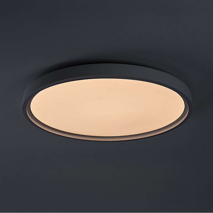 Rabalux - LED zatemnjevalno stropno svetilo LED/54W/230V IP40 3000-6500K premer 52 cm + daljinski upravljalnik