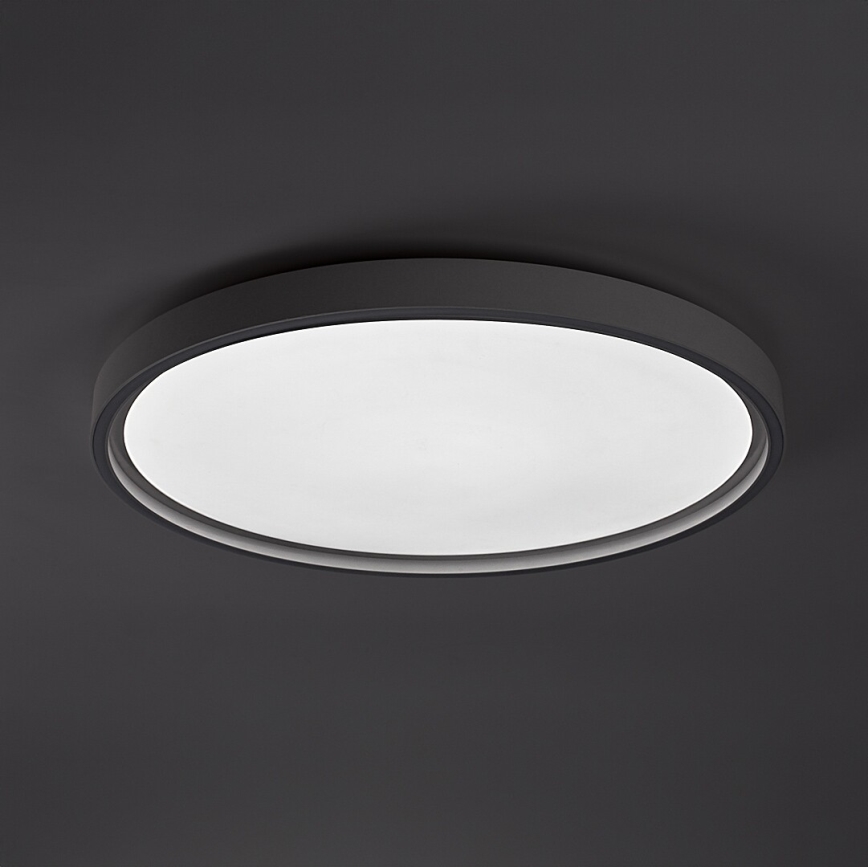 Rabalux - LED zatemnjevalno stropno svetilo LED/54W/230V IP40 3000-6500K premer 52 cm + daljinski upravljalnik