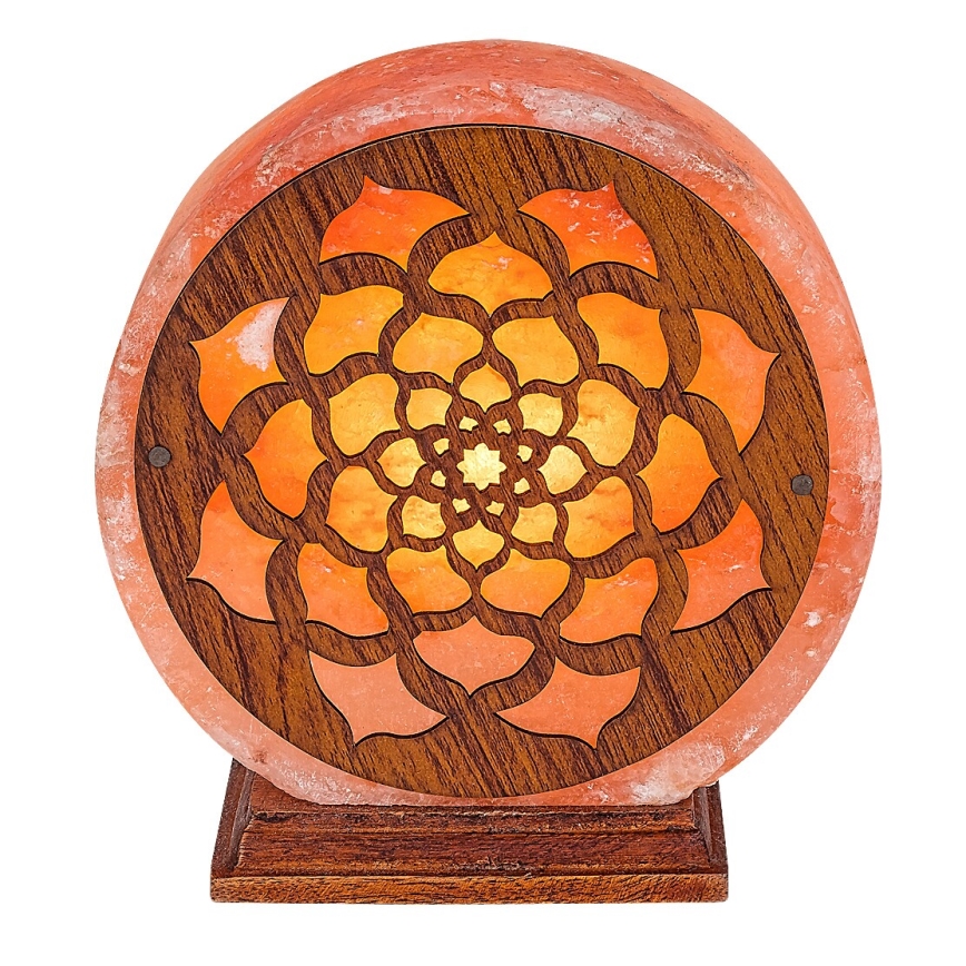 Rabalux - Solna svetilka 1xE14/15W/230V