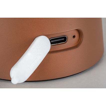 Rabalux - LED zatemnjevalna zunanja svetilka na dotik, polnilna, LED/1,5W/5V, IP44, 1200 mAh, USB, rjava