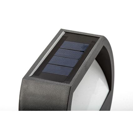 Rabalux - LED Solarna svetilka s senzorjem LED/0,5W/1,2V IP44