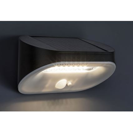 Rabalux - LED Solarna svetilka s senzorjem LED/3,2W/3,7V IP44