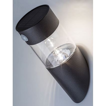 Rabalux - LED Solarna svetilka s senzorjem LED/1,5W/3,7V IP44