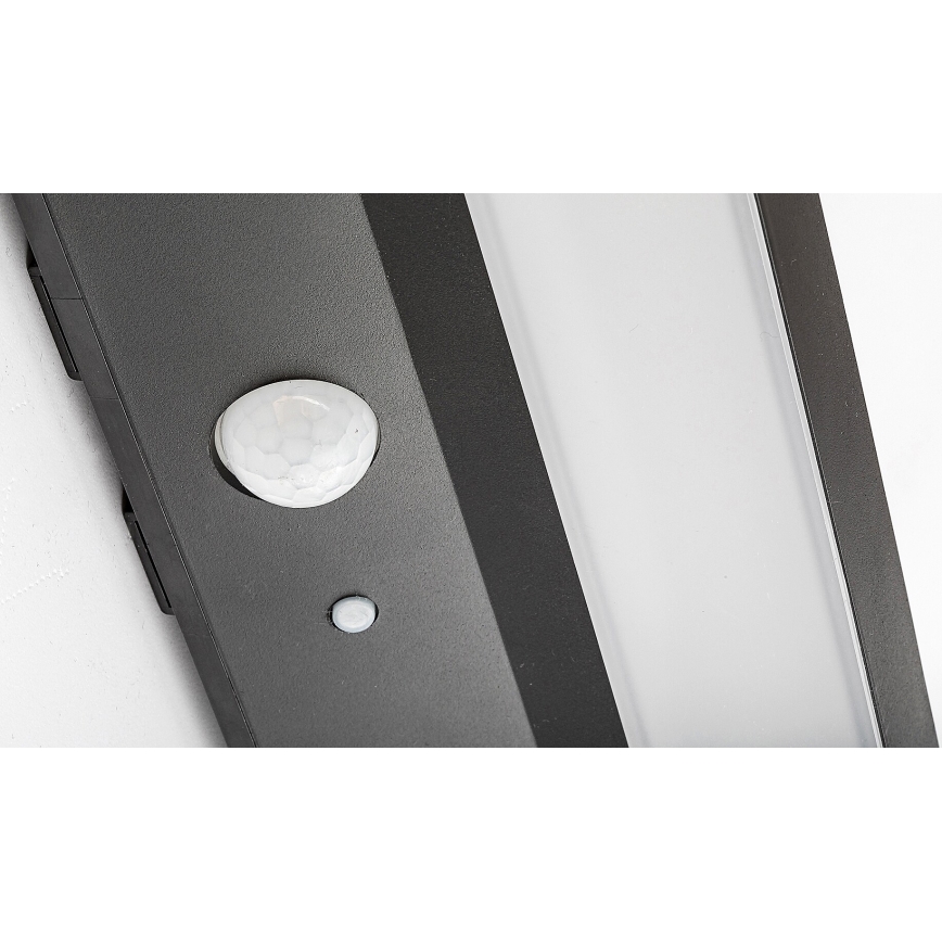Rabalux - LED Solarna svetilka s senzorjem LED/6W/3,7V IP44 2200 mAh