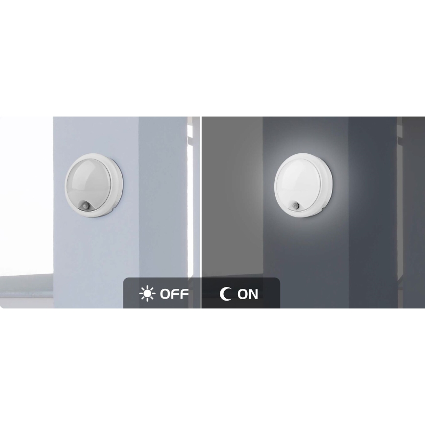 Rabalux - LED Zunanja stenska svetilka s senzorjem LED/15W/230V IP54