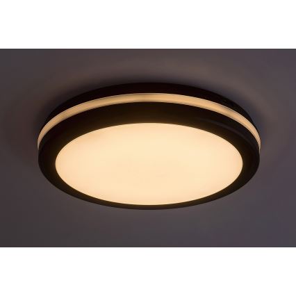 Rabalux - LED Kopalniška stropna svetilka LED/28W/230V IP54 črna