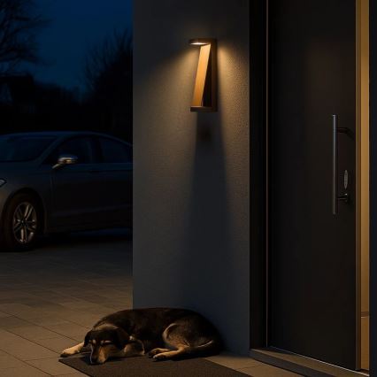 Rabalux - LED zunanja stenska svetilka LED/13W/230V IP65 rjava