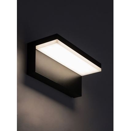 Rabalux - LED Zunanja stenska svetilka LED/10W/230V IP54 črna