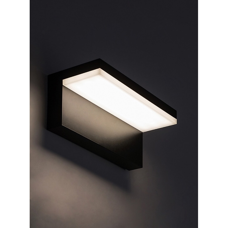 Rabalux - LED Zunanja stenska svetilka LED/10W/230V IP54 črna