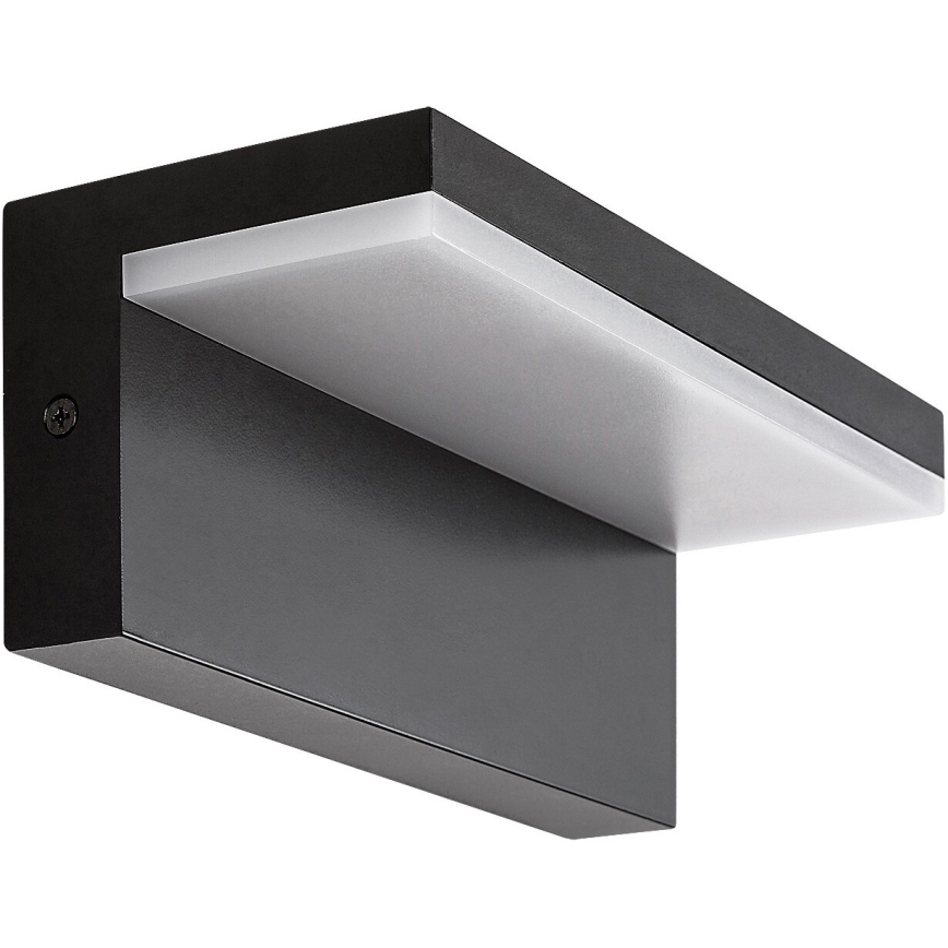Rabalux - LED Zunanja stenska svetilka LED/10W/230V IP54 črna