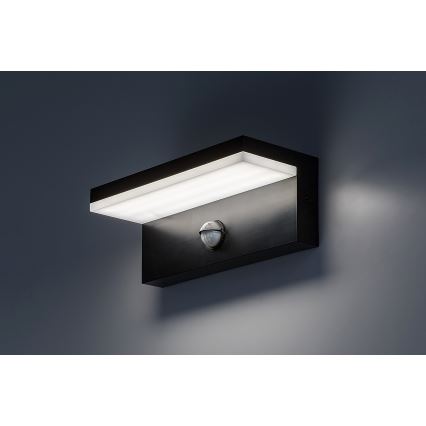 Rabalux - LED Zunanja stenska svetilka s senzorjem LED/9W/230V 2700/4000/6500K IP54 črna