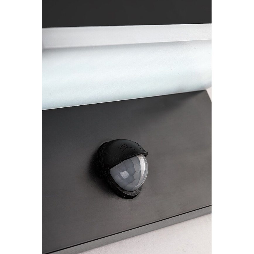 Rabalux - LED Zunanja stenska svetilka s senzorjem LED/9W/230V 2700/4000/6500K IP54 črna