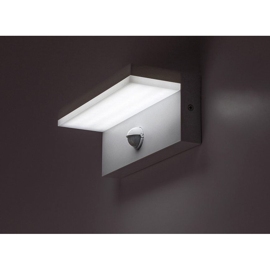 Rabalux - LED Zunanja stenska svetilka s senzorjem LED/9W/230V 2700/4000/6500K IP54 bela